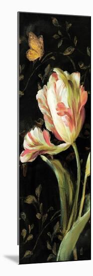 Jardin Paris Florals II-Danhui Nai-Mounted Art Print