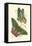 Jardine Butterflies III-Sir William Jardine-Framed Stretched Canvas