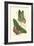 Jardine Butterflies III-Sir William Jardine-Framed Art Print