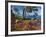 Jardins Botanico De Cap Roig, Calella De Palafrugell, Costa Brava, Catalonia, Spain, Mediterranean,-Stuart Black-Framed Photographic Print