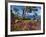 Jardins Botanico De Cap Roig, Calella De Palafrugell, Costa Brava, Catalonia, Spain, Mediterranean,-Stuart Black-Framed Photographic Print