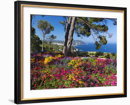 Jardins Botanico De Cap Roig, Calella De Palafrugell, Costa Brava, Catalonia, Spain, Mediterranean,-Stuart Black-Framed Photographic Print