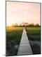Premium Photographic Print