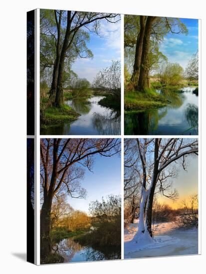 Stretched Canvas Print, , large