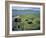 Jarlshof, Shetland, Scotland, United Kingdom-David Lomax-Framed Photographic Print