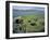 Jarlshof, Shetland, Scotland, United Kingdom-David Lomax-Framed Photographic Print