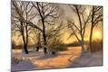 Photographic Print