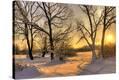 Stretched Canvas Print