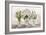 Jars of Wildflowers-Elizabeth Medley-Framed Art Print