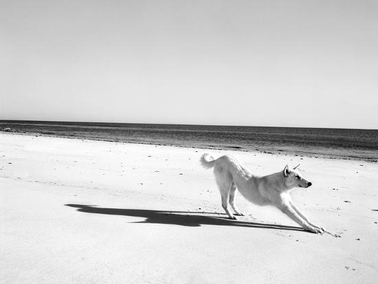 Photographic Print, , large