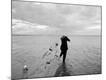 Photographic Print