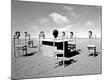 Photographic Print