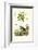 Jasmine, 1833-39-null-Framed Giclee Print