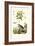 Jasmine, 1833-39-null-Framed Giclee Print