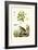 Jasmine, 1833-39-null-Framed Giclee Print