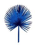 Blue Leaf Branch-Jasmine Woods-Art Print