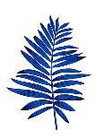 Blue Tropical Leaf-Jasmine Woods-Art Print