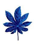 Blue Chamaerops Leaf-Jasmine Woods-Art Print