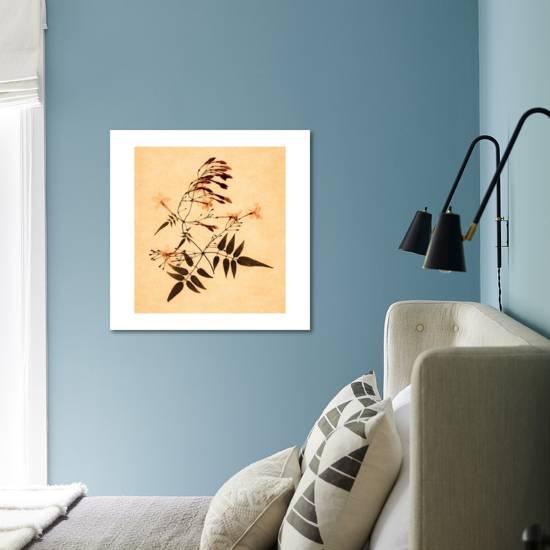 Jasmine Giclee Print Graeme Harris Art Com