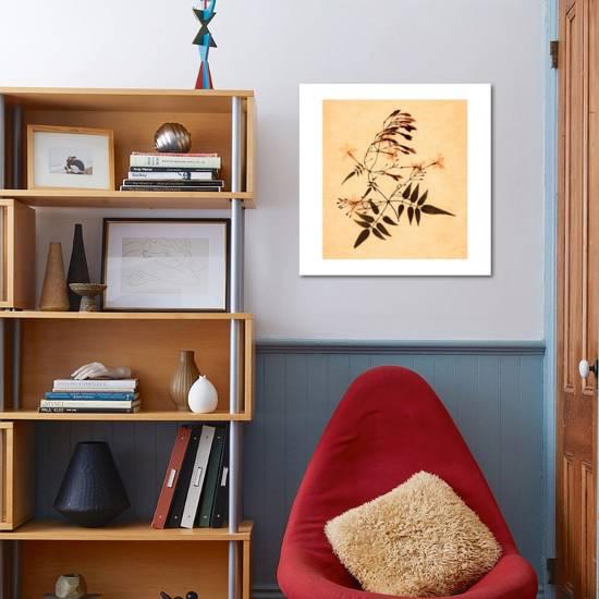 Jasmine Giclee Print Graeme Harris Art Com