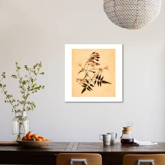 Jasmine Giclee Print Graeme Harris Art Com