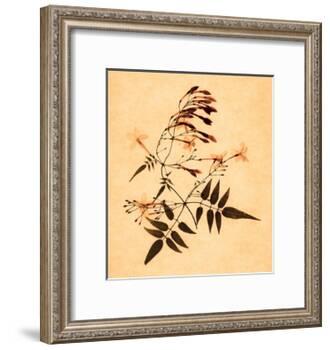 Jasmine-Graeme Harris-Framed Giclee Print