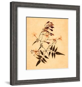 Jasmine-Graeme Harris-Framed Giclee Print