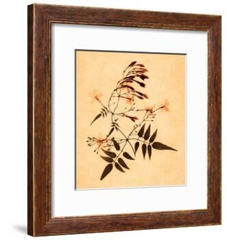 Jasmine-Graeme Harris-Framed Giclee Print
