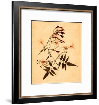 Jasmine-Graeme Harris-Framed Giclee Print