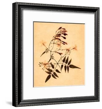 Jasmine-Graeme Harris-Framed Giclee Print