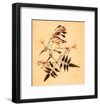 Jasmine-Graeme Harris-Framed Giclee Print