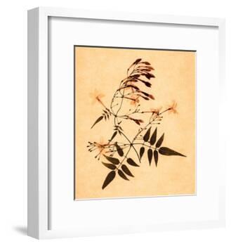 Jasmine-Graeme Harris-Framed Giclee Print