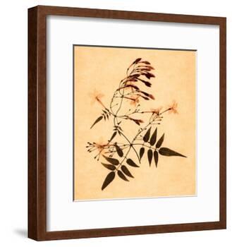 Jasmine-Graeme Harris-Framed Giclee Print