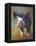 Jasmine-Carolyne Hawley-Framed Stretched Canvas