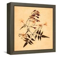 Jasmine-Graeme Harris-Framed Premier Image Canvas