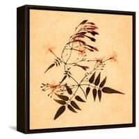 Jasmine-Graeme Harris-Framed Premier Image Canvas