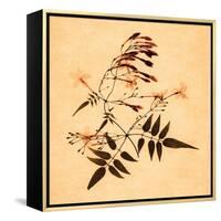 Jasmine-Graeme Harris-Framed Premier Image Canvas