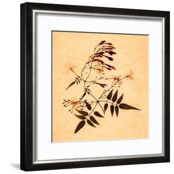 Jasmine-Graeme Harris-Framed Giclee Print