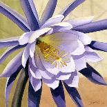 Craftsman Flower IV-Jason Higby-Art Print