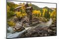 Photographic Print