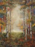 Through the Trees I-Jason Javara-Giclee Print