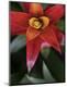 Premium Photographic Print