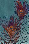 Echinancea Study II-Jason Johnson-Framed Photographic Print