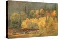 Stretched Canvas Print