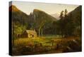 Stretched Canvas Print