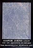 Within-Jasper Johns-Collectable Print