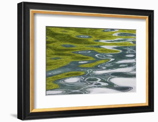 Jasper National Park, Abstract Reflections-Ken Archer-Framed Photographic Print