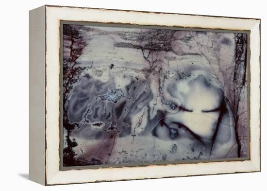 Jasper Rock Slab-Darrell Gulin-Framed Premier Image Canvas