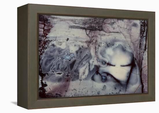 Jasper Rock Slab-Darrell Gulin-Framed Premier Image Canvas