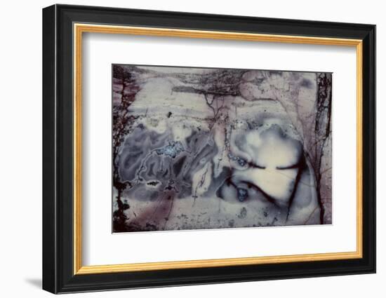 Jasper Rock Slab-Darrell Gulin-Framed Photographic Print